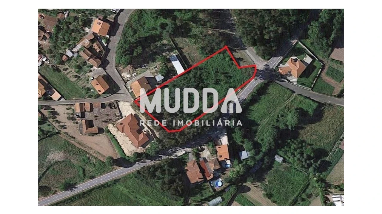 Terreno para Venda em Pinheiro da Bemposta, Travanca e Palmaz Foto 6