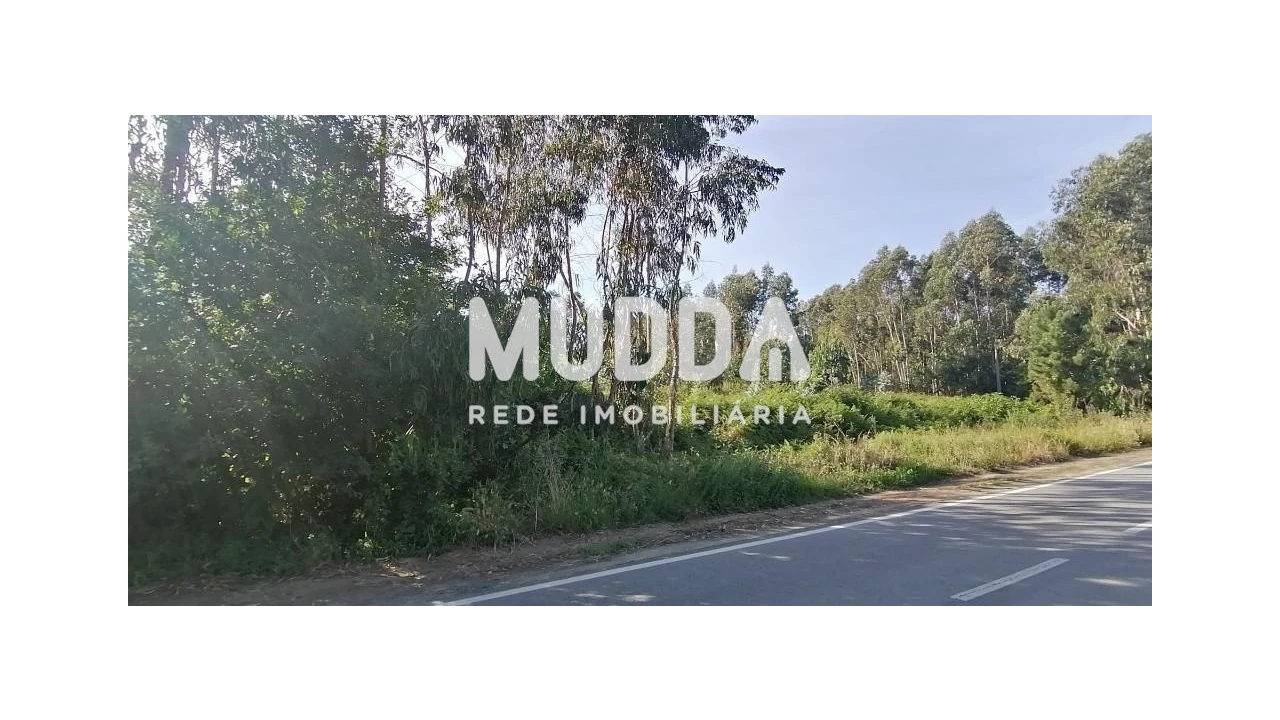 Terreno para Venda em Pinheiro da Bemposta, Travanca e Palmaz Foto 2