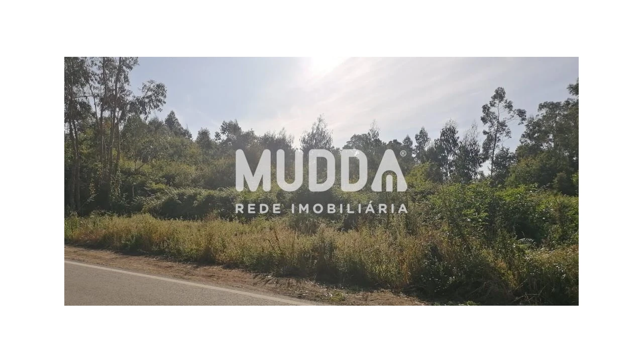 Terreno para Venda em Pinheiro da Bemposta, Travanca e Palmaz Foto 1