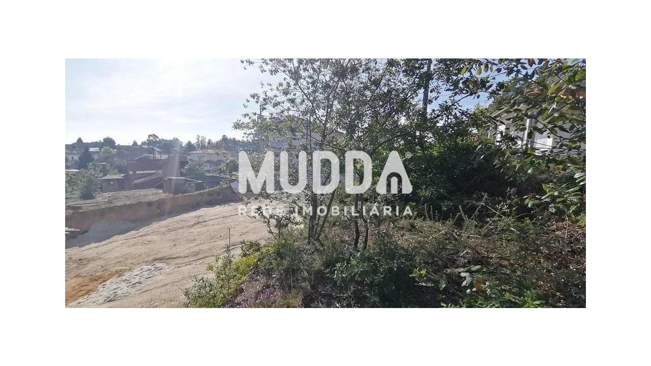 Terreno para Venda em Pinheiro da Bemposta, Travanca e Palmaz Foto 4