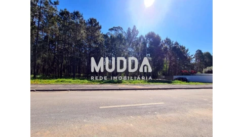 Terreno para Venda em Santa Maria da Feira, Travanca, Sanfins e Espargo