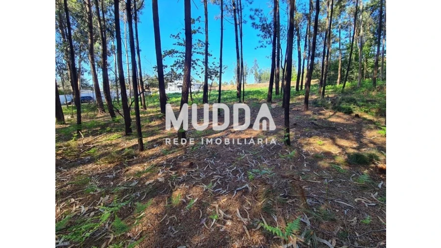 Terreno para Venda em Santa Maria da Feira, Travanca, Sanfins e Espargo