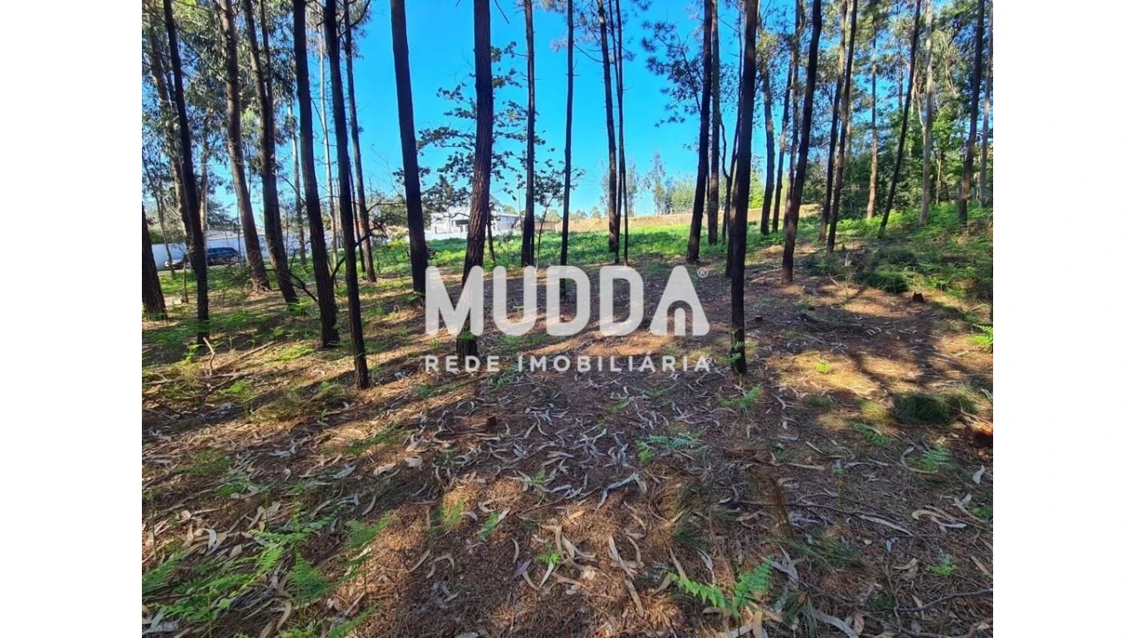 Terreno para Venda em Santa Maria da Feira, Travanca, Sanfins e Espargo Foto 1