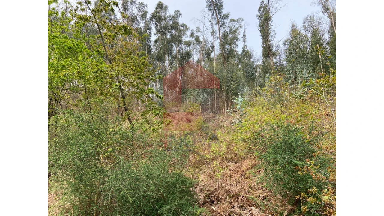 Terreno para Venda em Valbom (São Pedro), Passô e Valbom (São Martinho) Foto 5