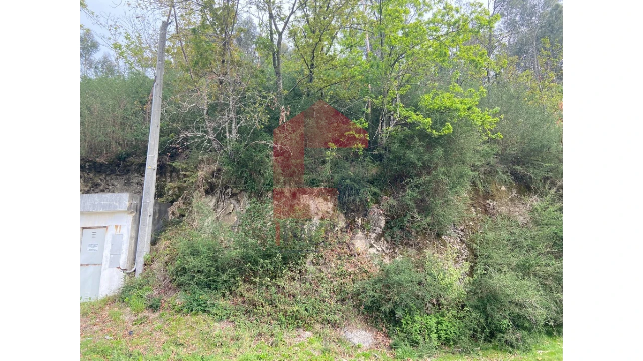 Terreno para Venda em Valbom (São Pedro), Passô e Valbom (São Martinho) Foto 20