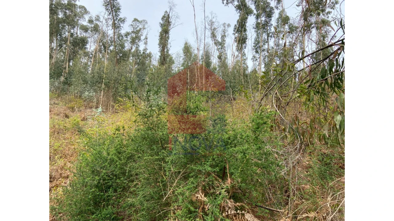 Terreno para Venda em Valbom (São Pedro), Passô e Valbom (São Martinho) Foto 4