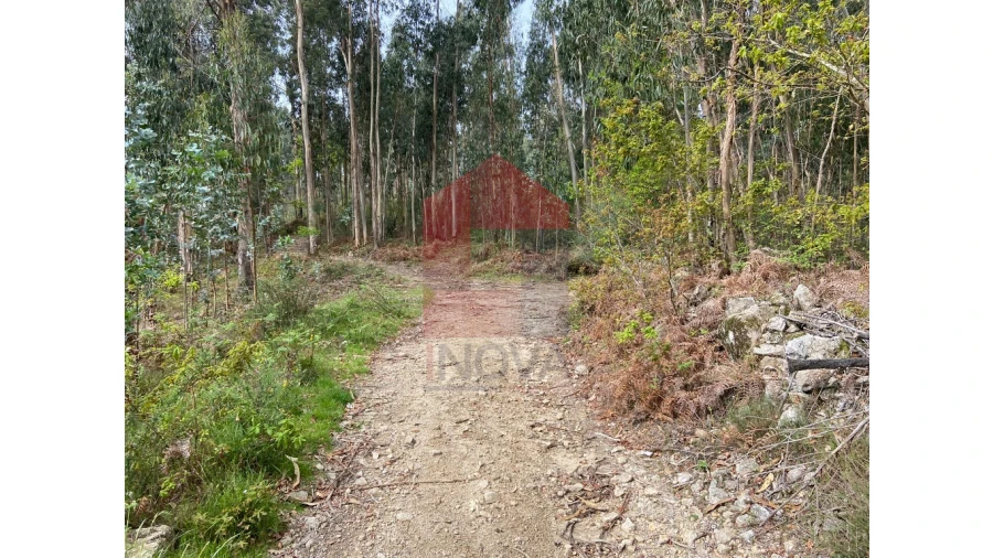 Terreno para Venda em Valbom (São Pedro), Passô e Valbom (São Martinho) Foto 13