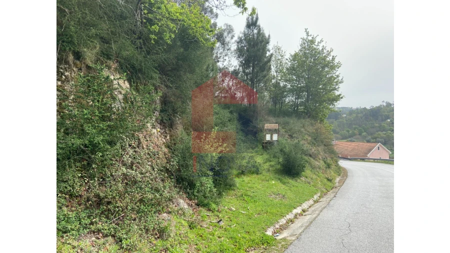 Terreno para Venda em Valbom (São Pedro), Passô e Valbom (São Martinho) Foto 21