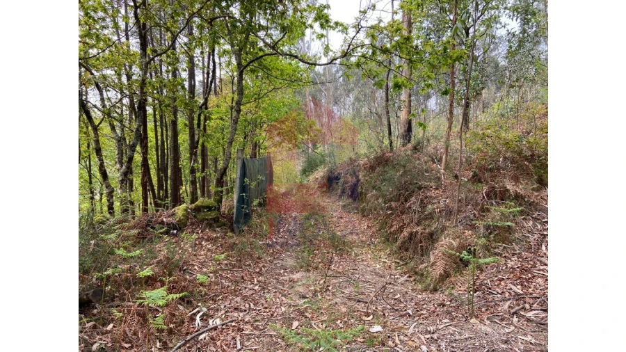 Terreno para Venda em Valbom (São Pedro), Passô e Valbom (São Martinho) Foto 1