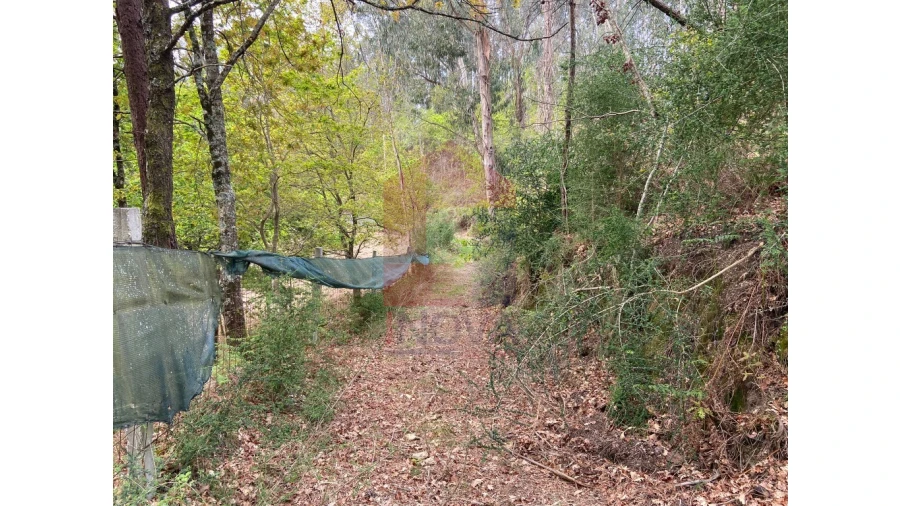 Terreno para Venda em Valbom (São Pedro), Passô e Valbom (São Martinho) Foto 2