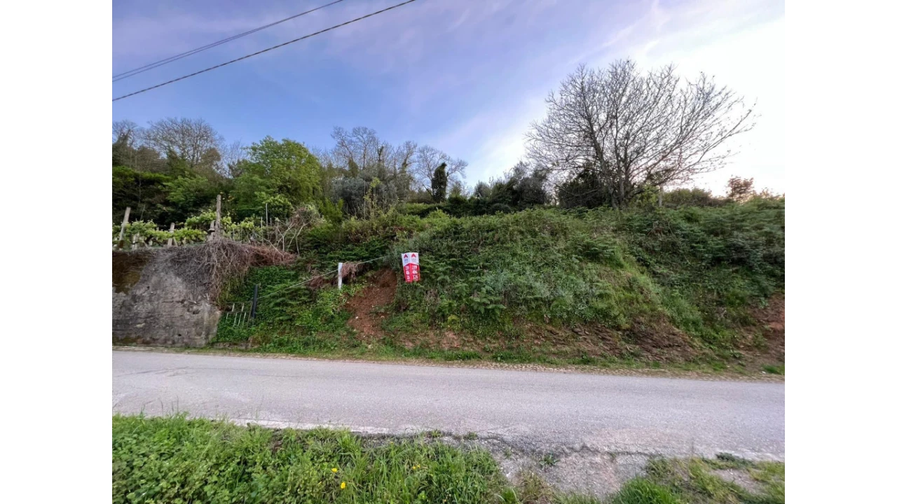 Terreno para Venda em Torres do Mondego Foto 1