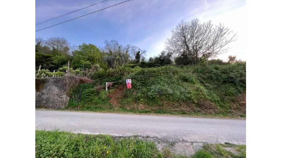 Terreno para Venda em Torres do Mondego Foto 1