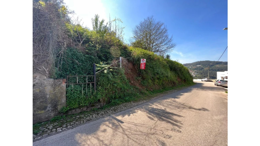 Terreno para Venda em Torres do Mondego Foto 3