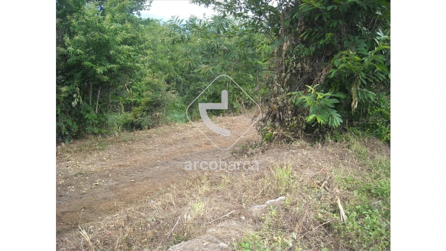 Terreno para Venda em Arcos de Valdevez (São Paio) e Giela Foto 9