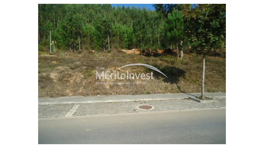 Terreno para Venda em Tamel (Santa Leocádia) e Vilar do Monte
