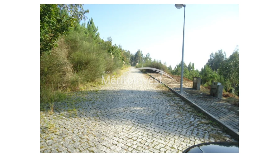 Terreno para Venda em Tamel (Santa Leocádia) e Vilar do Monte Foto 3