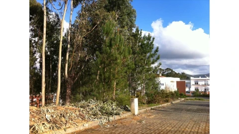 Terreno para Venda em Leiria, Pousos, Barreira e Cortes