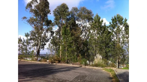 Terreno para Venda em Leiria, Pousos, Barreira e Cortes