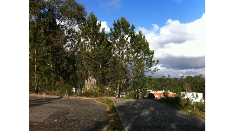 Terreno para Venda em Leiria, Pousos, Barreira e Cortes Foto 4