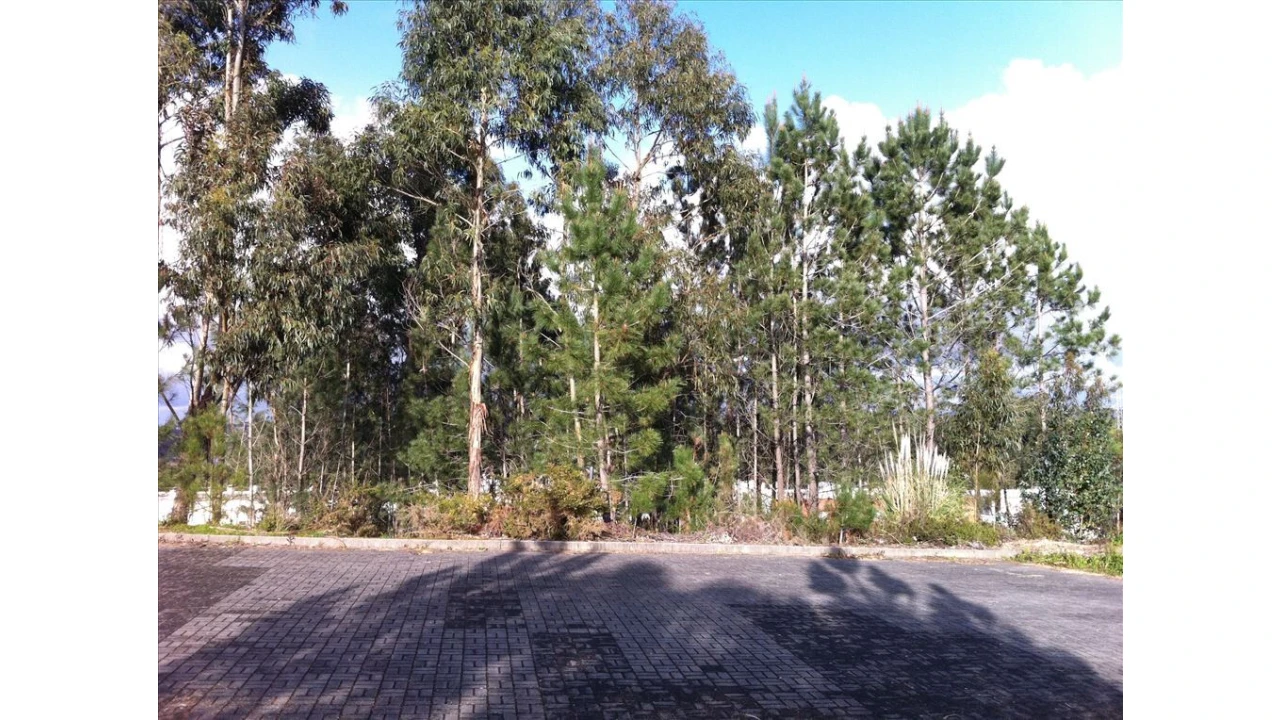 Terreno para Venda em Leiria, Pousos, Barreira e Cortes Foto 2