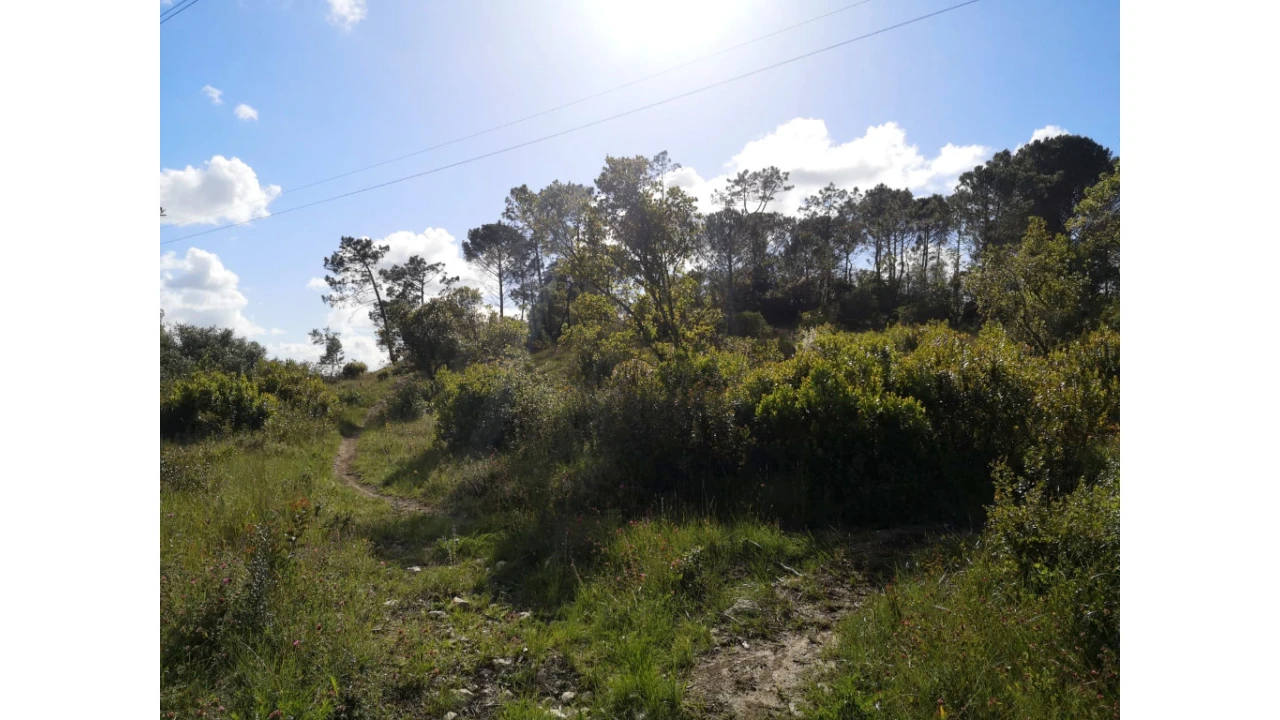 Terreno para Venda em Cernache Foto 2