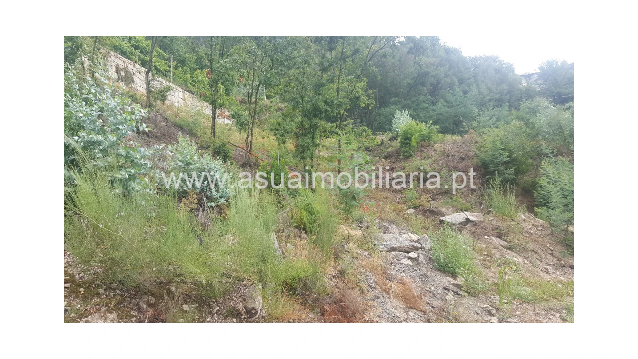 Terreno para Venda em Vilar da Veiga Foto 2
