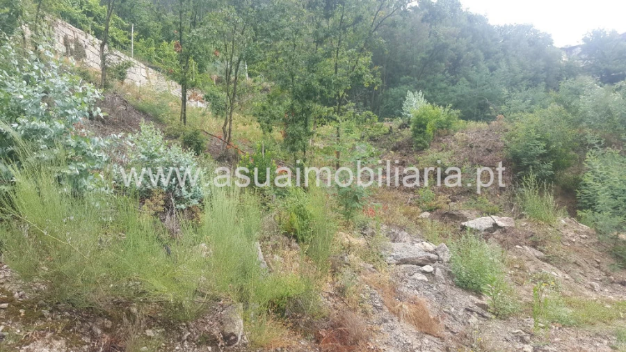 Terreno para Venda em Vilar da Veiga Foto 2