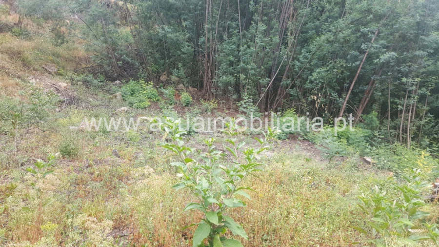 Terreno para Venda em Vilar da Veiga Foto 3