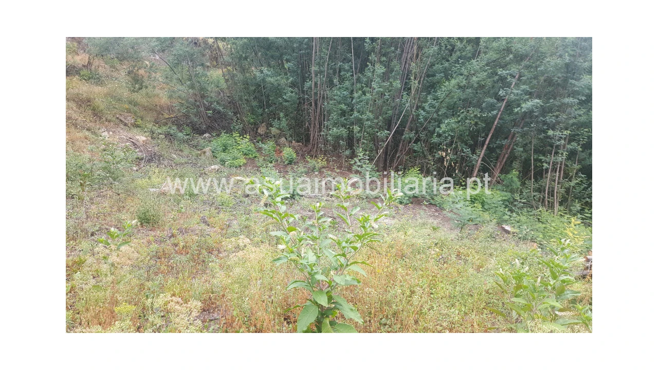 Terreno para Venda em Vilar da Veiga Foto 3