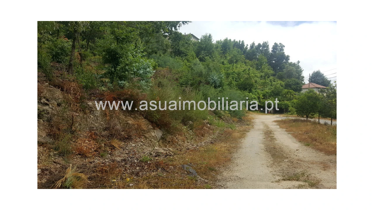 Terreno para Venda em Vilar da Veiga Foto 5