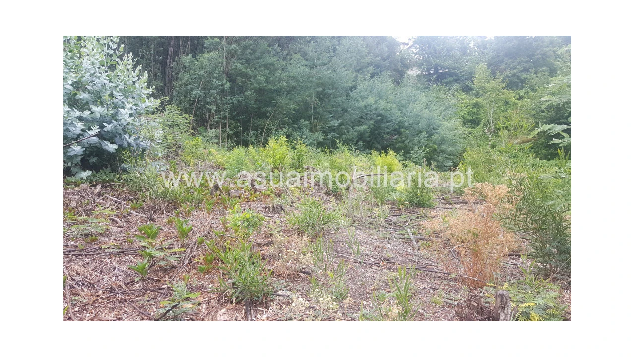 Terreno para Venda em Vilar da Veiga Foto 4