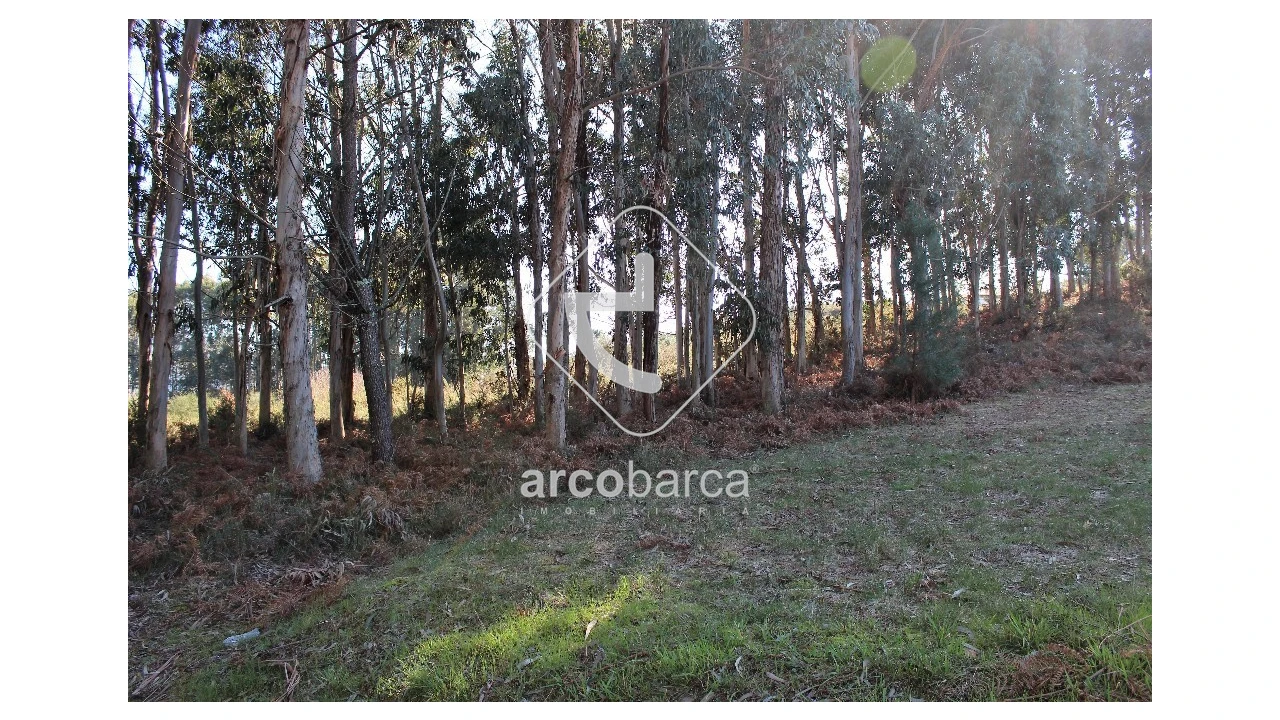 Terreno para Venda em Oleiros Foto 1