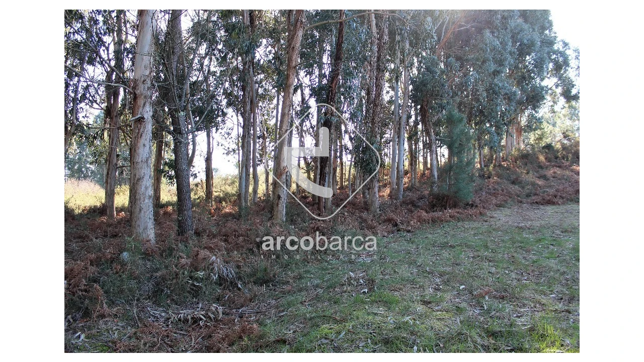 Terreno para Venda em Oleiros Foto 2