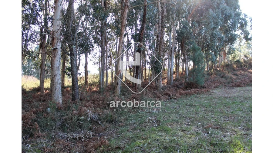 Terreno para Venda em Oleiros Foto 2