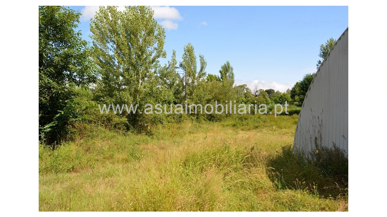 Terreno para Venda em Caldelas, Sequeiros e Paranhos Foto 7