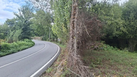 Terreno para Venda em Caldelas, Sequeiros e Paranhos