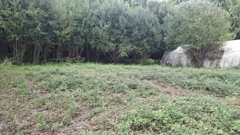 Terreno para Venda em Caldelas, Sequeiros e Paranhos