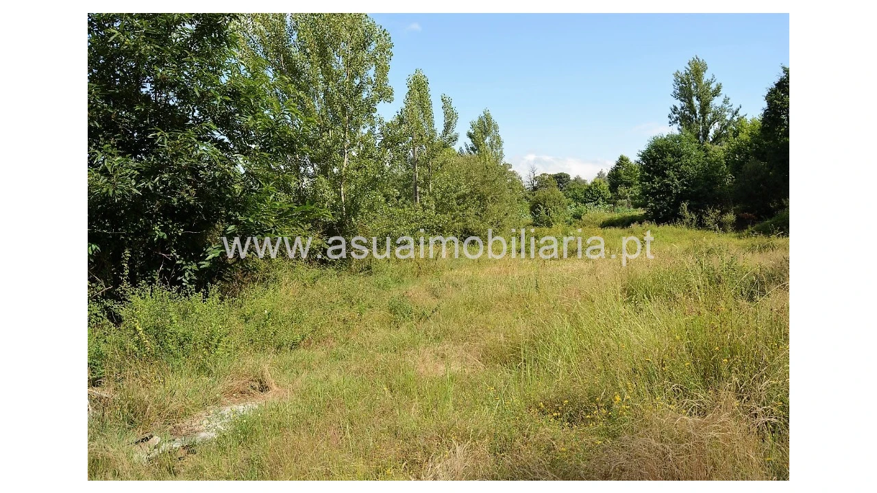 Terreno para Venda em Caldelas, Sequeiros e Paranhos Foto 2