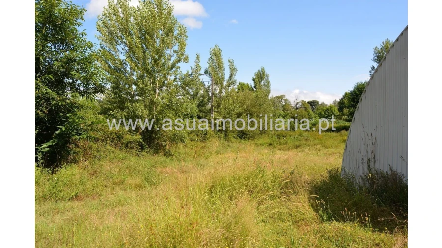 Terreno para Venda em Caldelas, Sequeiros e Paranhos Foto 7
