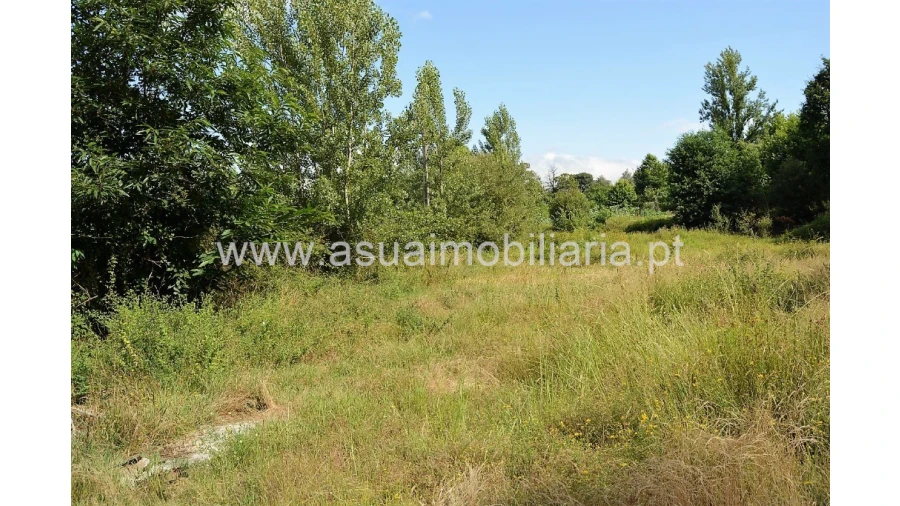 Terreno para Venda em Caldelas, Sequeiros e Paranhos Foto 2