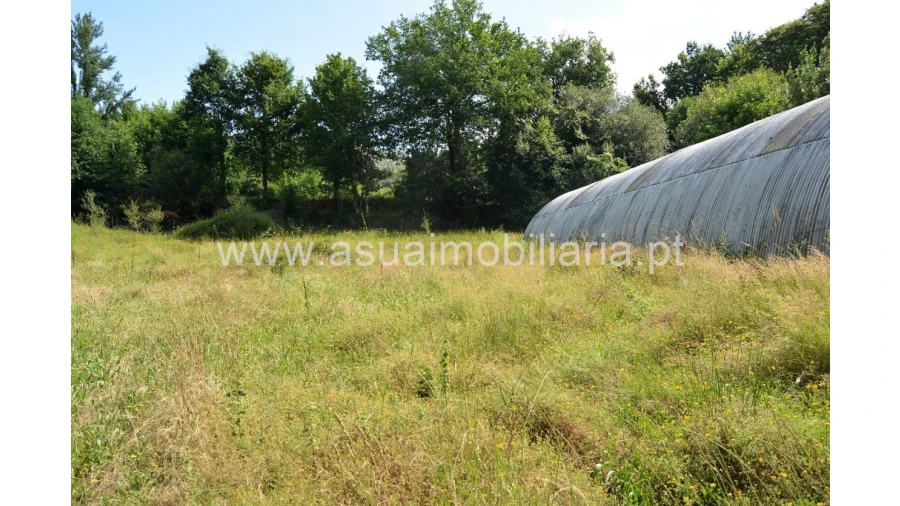 Terreno para Venda em Caldelas, Sequeiros e Paranhos Foto 9