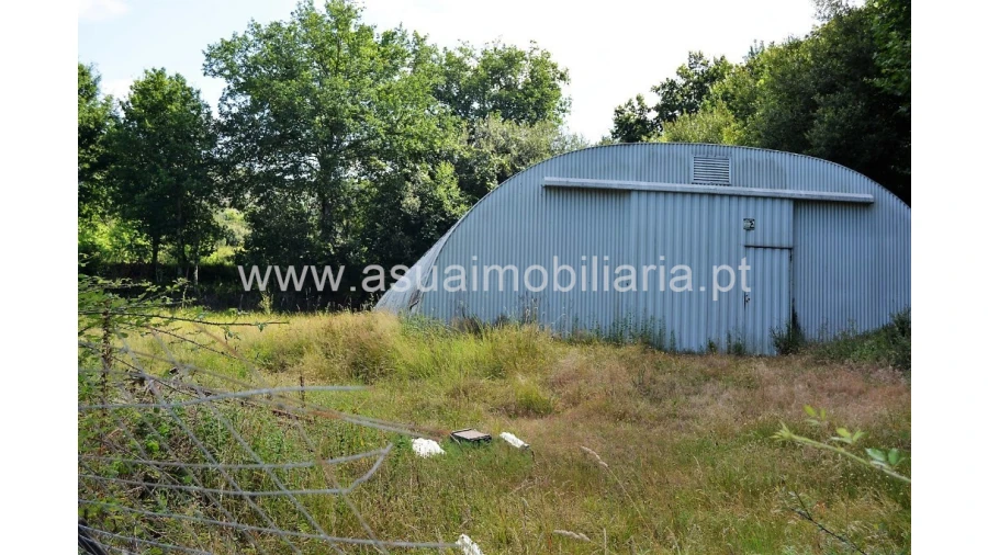Terreno para Venda em Caldelas, Sequeiros e Paranhos Foto 3