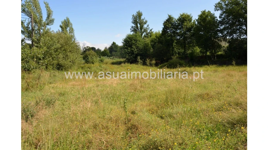 Terreno para Venda em Caldelas, Sequeiros e Paranhos Foto 8