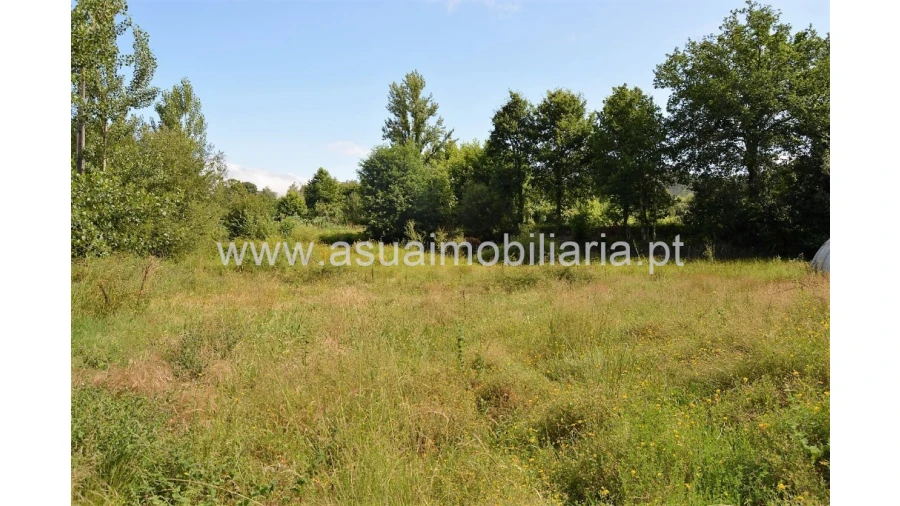 Terreno para Venda em Caldelas, Sequeiros e Paranhos