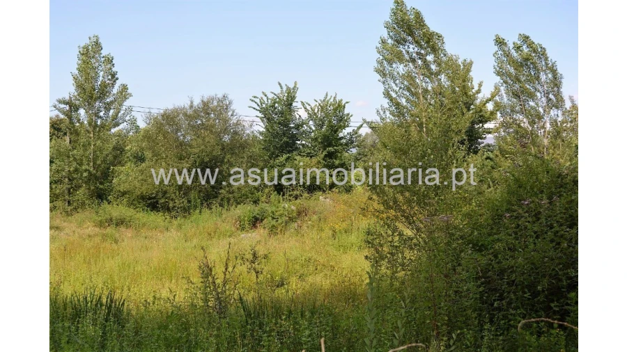 Terreno para Venda em Caldelas, Sequeiros e Paranhos Foto 6
