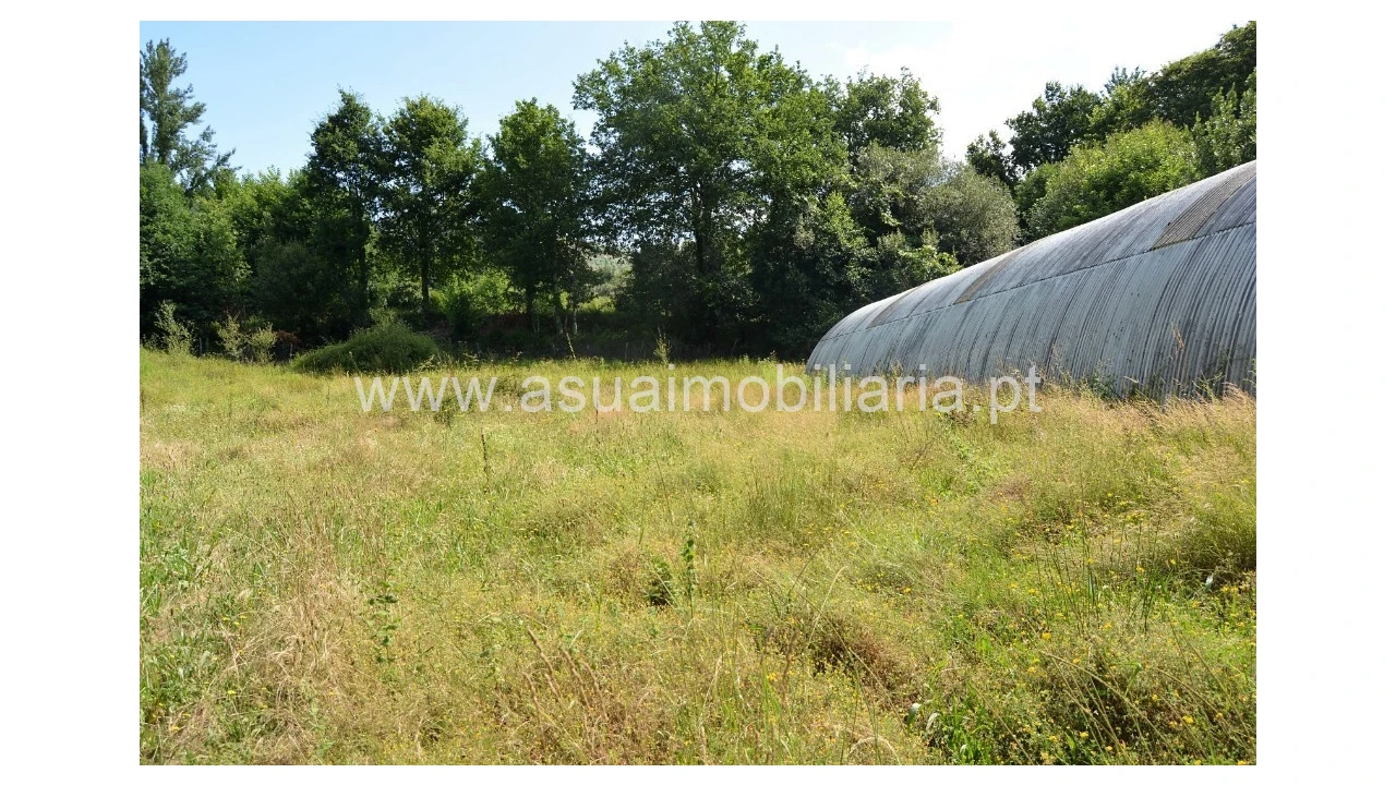 Terreno para Venda em Caldelas, Sequeiros e Paranhos Foto 9