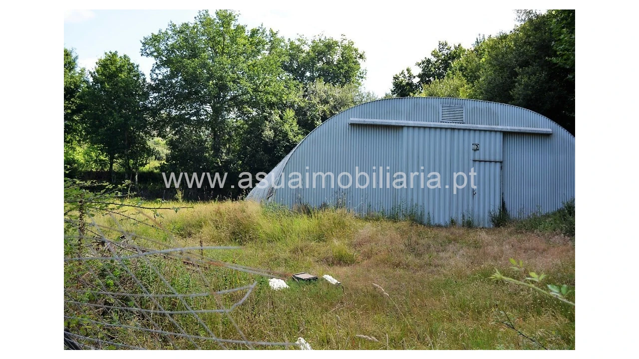 Terreno para Venda em Caldelas, Sequeiros e Paranhos Foto 3