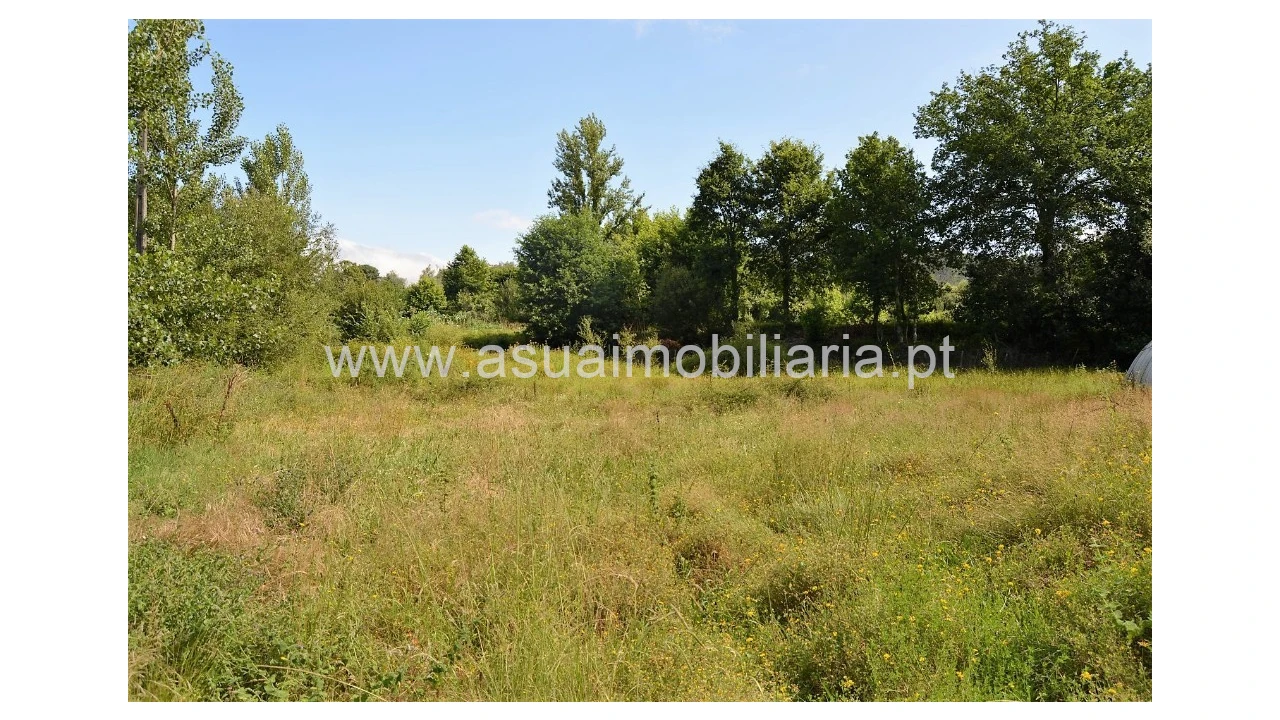 Terreno para Venda em Caldelas, Sequeiros e Paranhos Foto 1
