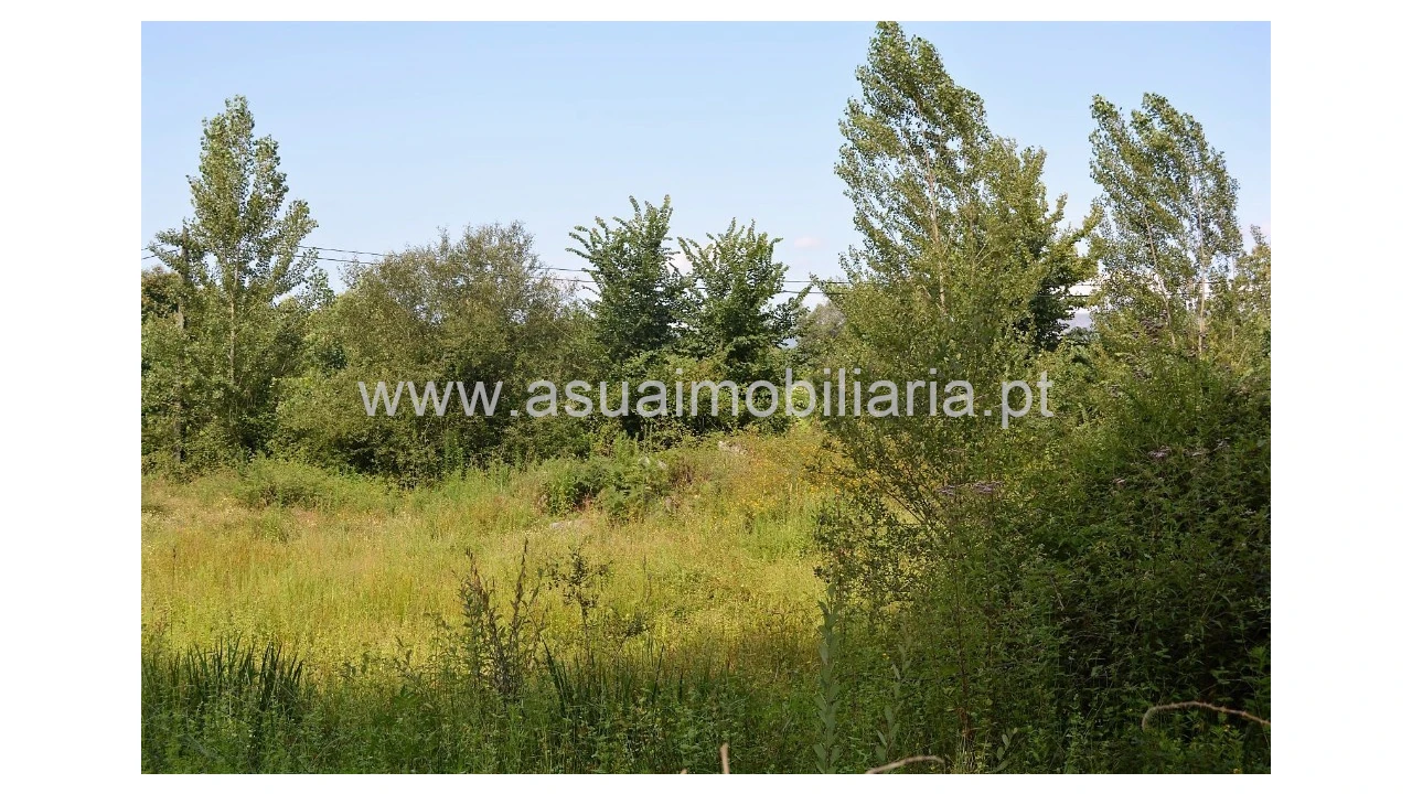 Terreno para Venda em Caldelas, Sequeiros e Paranhos Foto 6
