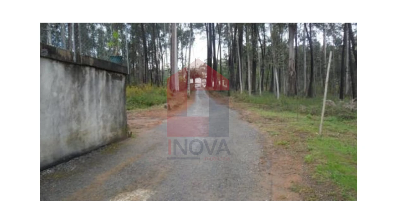 Terreno para Venda em Freiriz Foto 4